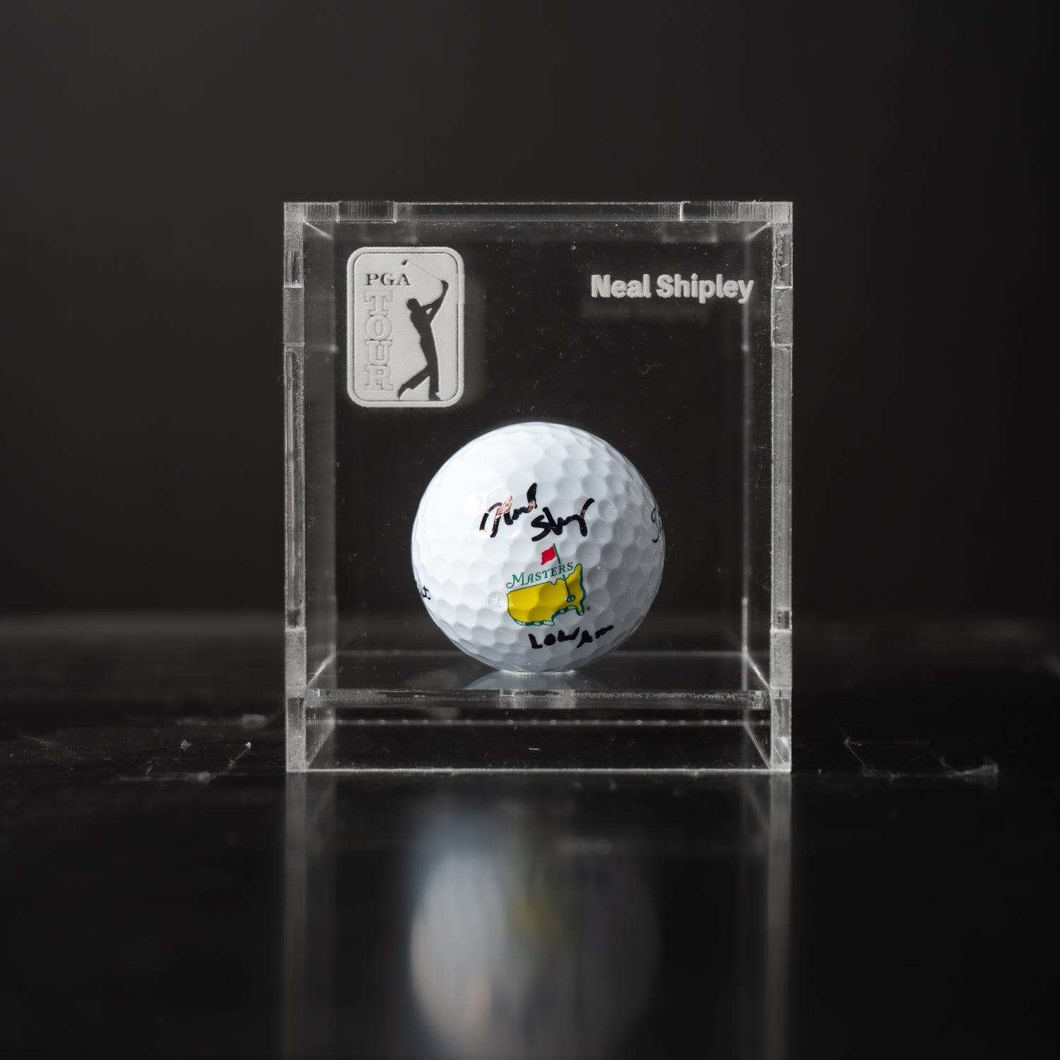 Pelota Firmada - Neal Shipley